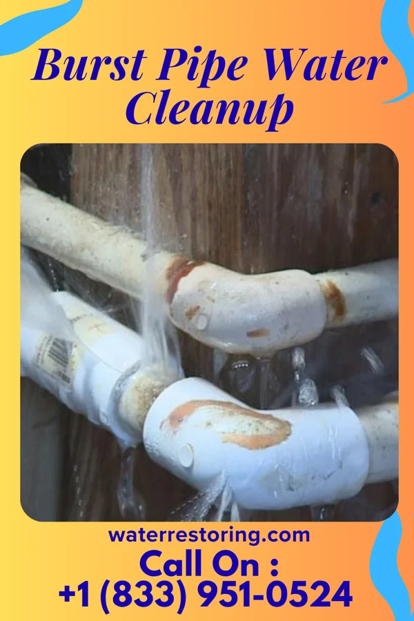 Burst Pipe Water Cleanup in Quapaw, OK